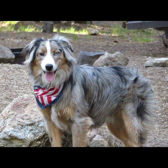 Meet your Posher, Taylor - Picture 1 of 1